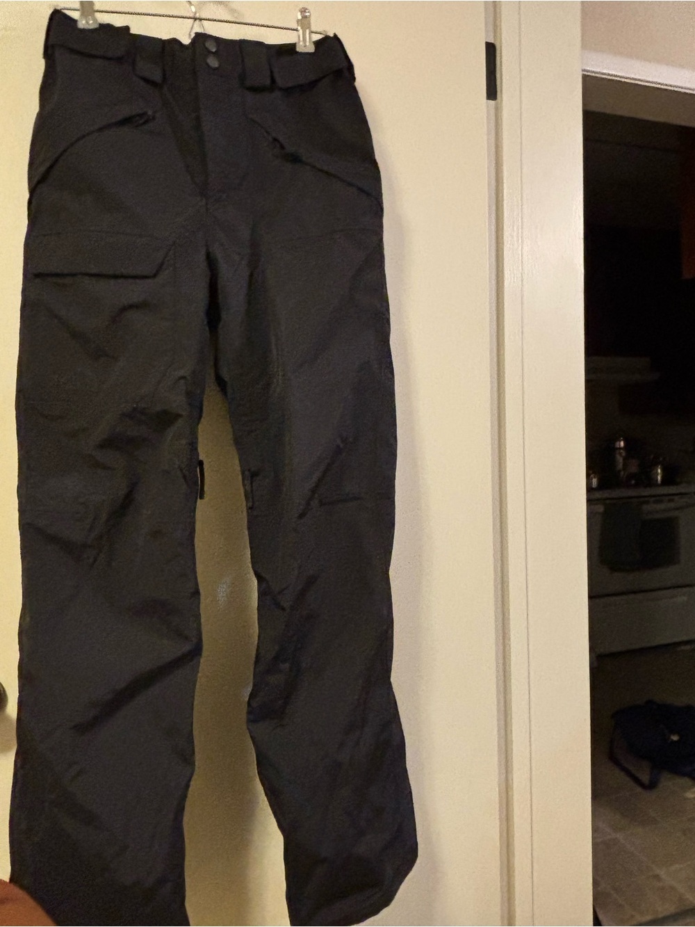 Men's Freedom Snow Pants- The North Face